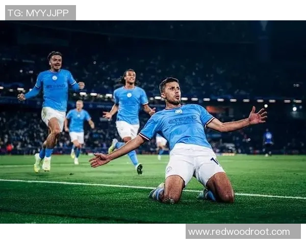 追寻足球梦想的明星名字全解析与推荐